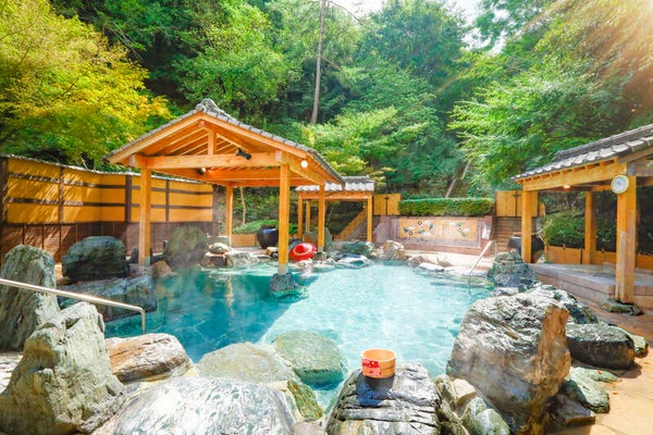 【和歌山市内ルート発】 花と名画に抱かれる瀬戸内周遊~日本で感じる地中海・欧州2日間1